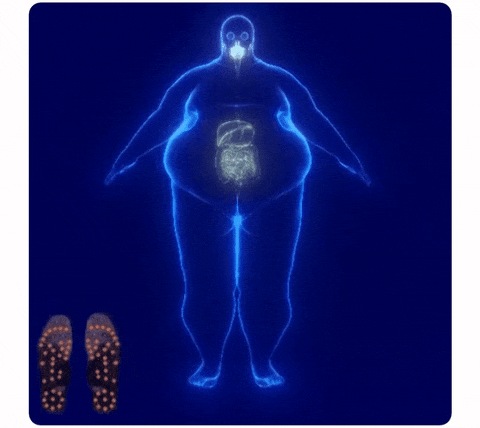 Palmilhas Ozemp Sole com tecnologia de acupressão para reduzir inchaço